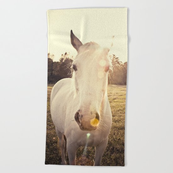 Sunlit Horse Beach Towel