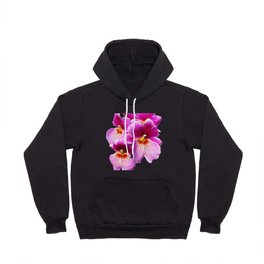 Pink Pansy Orchids Hoody