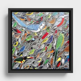 Toucans, parrots and tropical birds of Costa Rica Framed Canvas