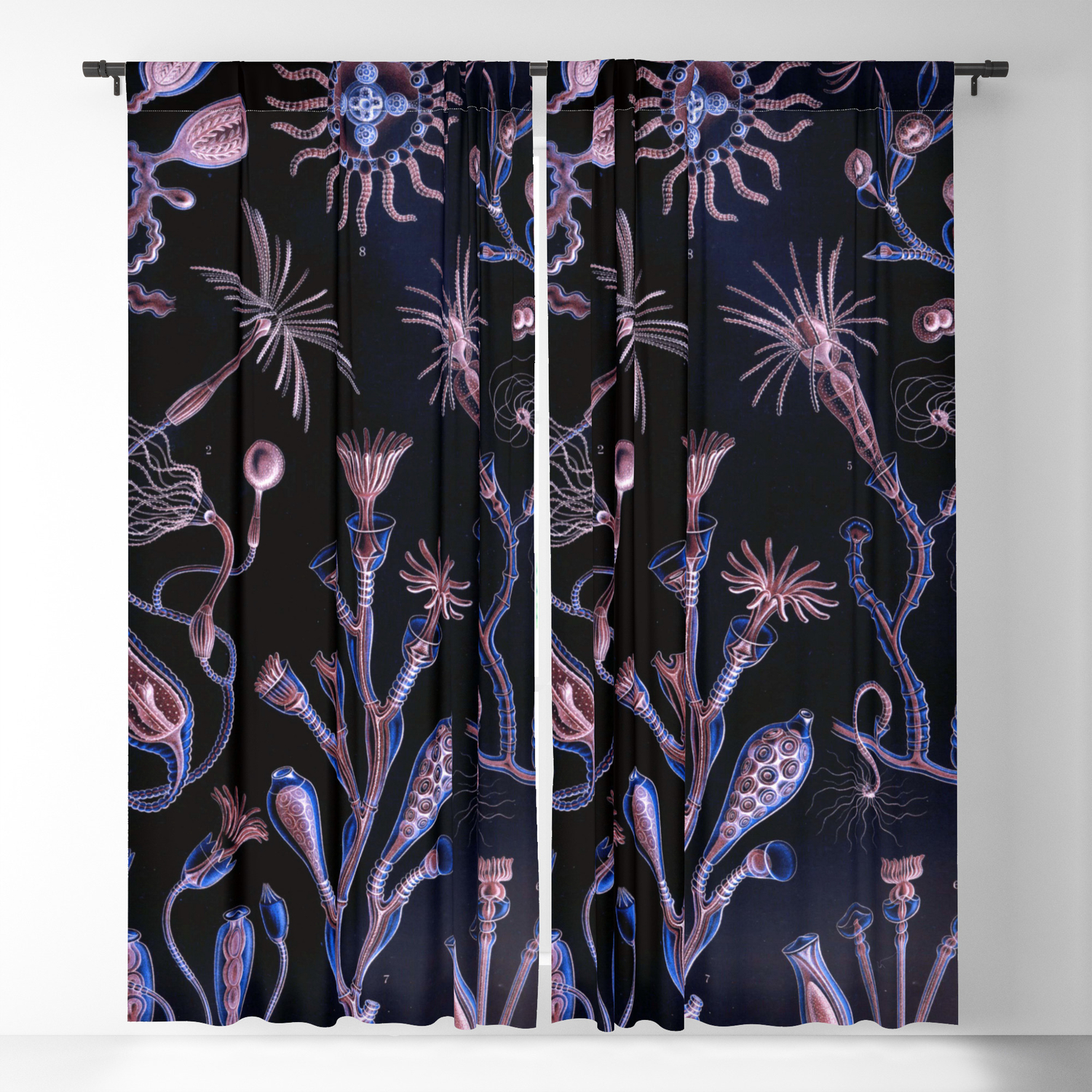 Ode To Haeckel S Deep Dark World Under The Sea Blackout Curtain By