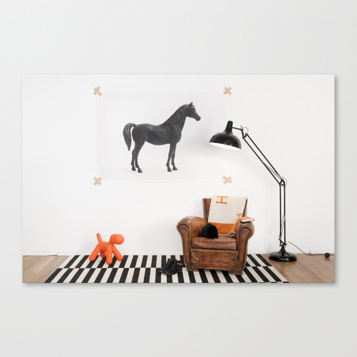 Solo Horse Canvas Print