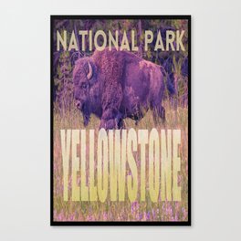 Yellowstone National Park Wyoming Buffalo Wildlife Photography Print Canvas Print