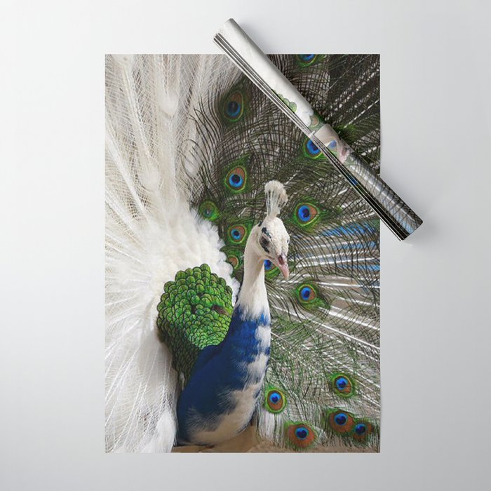 Peacock outlet wrapping paper