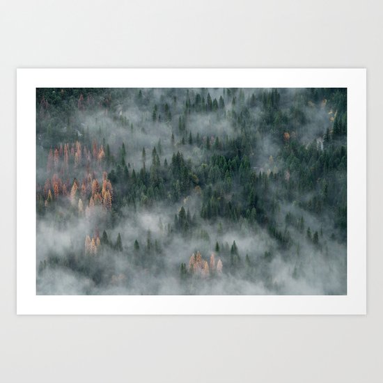 Woods landscape Art Print
