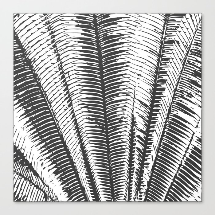 Black and White Modern Tropical Palm Fronds Canvas Print