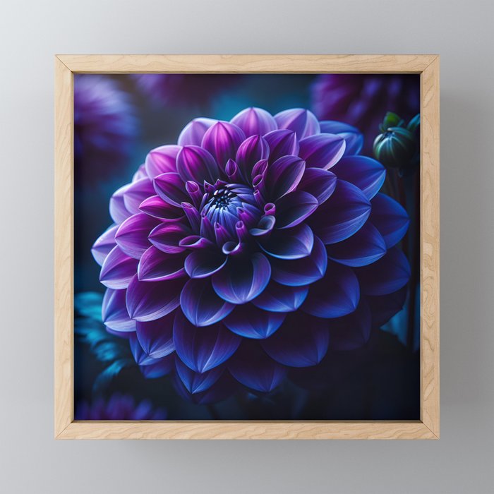 Purple Dahlia Framed Mini Art Print