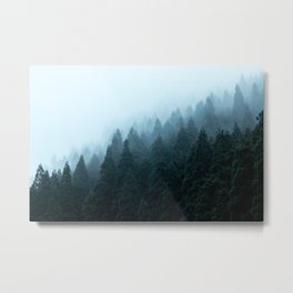 Japanese Forest Metal Print | Color, Japan, Digital, Nature, Photo 