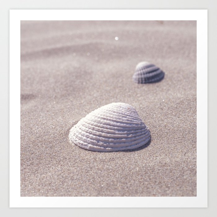 Coastal seashells on the beach art print - summer surf travel photography Art Print