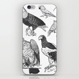 Birds of wildlife set. Eagles, owls, parrots, pelican, penguins, ibis, puffin isolated on white background. Tropical, exotic, water birds. Black white illustration. Vintage. Vintage. Realistic graphics iPhone Skin