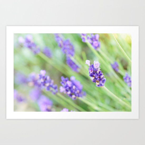 Summer flowers in pastel Art Print