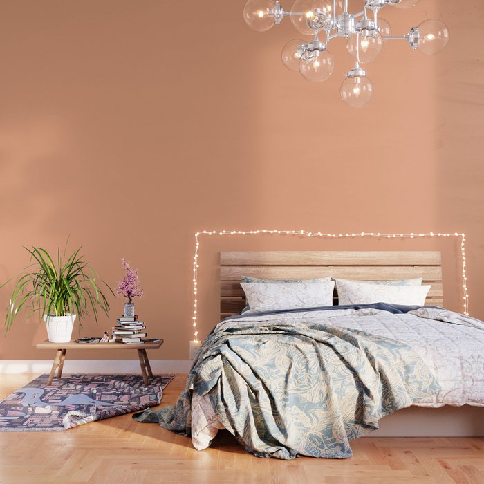 Colors of Autumn Light Apricot Orange Single Solid Color - Accent Shade / Hue / All One Colour Wallpaper