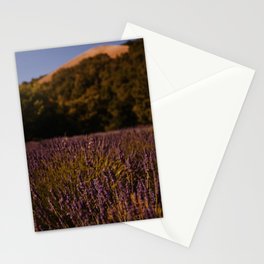 Lavender Fields III Stationery Card