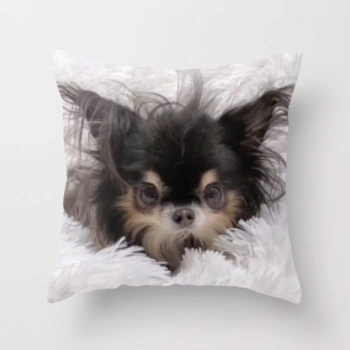 Little And Adorable Black And Beige Doggy Throw Pillow