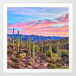 Arizona South West Sunset Cactus Desert Landscape Art Print