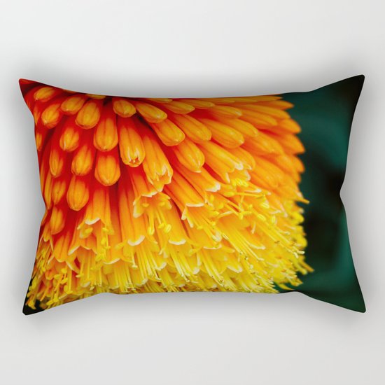 Kniphofia Rooperi Rectangular Pillow