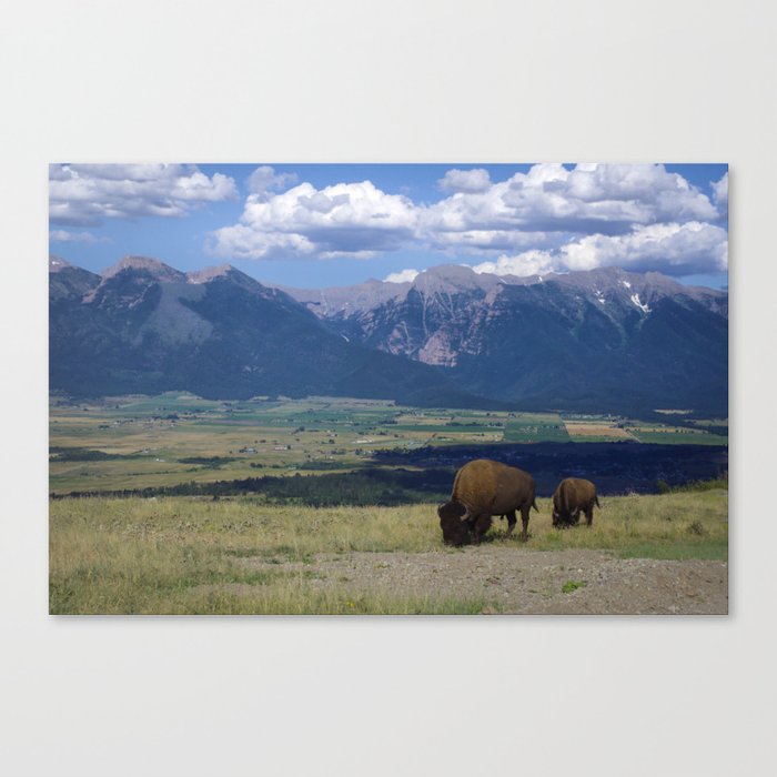 Vast Frontier, Mountains and Bison Canvas Print
