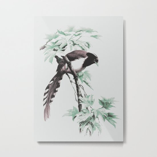 bird 2 Metal Print