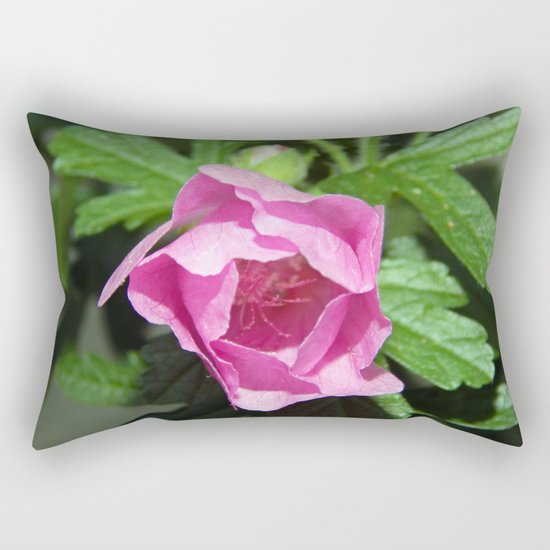 Musk Mallow - Pretty Pink Flower Rectangular Pillow