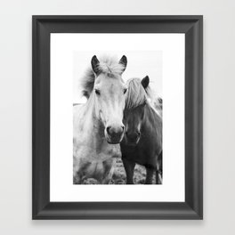 Black and White Horses Framed Art Print