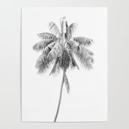 Palm Tree Art Print - Black and White - Tropical - Travel Photography Poster