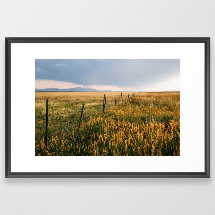 Golden Fields of Colorado Framed Art Print