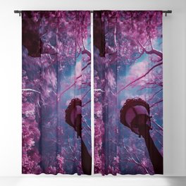 Fairy tale spring; cherry blossom tree canopy in the park at sunrise color magical realism portrait photograph / photography Blackout Curtain