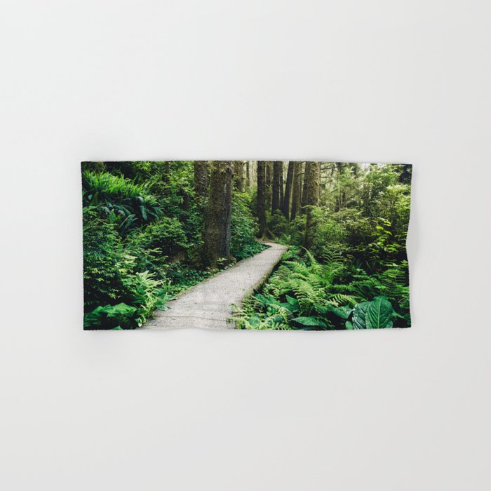 Forest Boardwalk - Redwood National Park Hiking Hand & Bath Towel