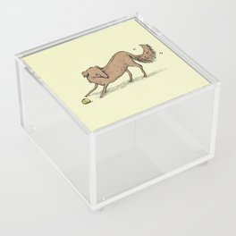 Playful Dog Acrylic Box