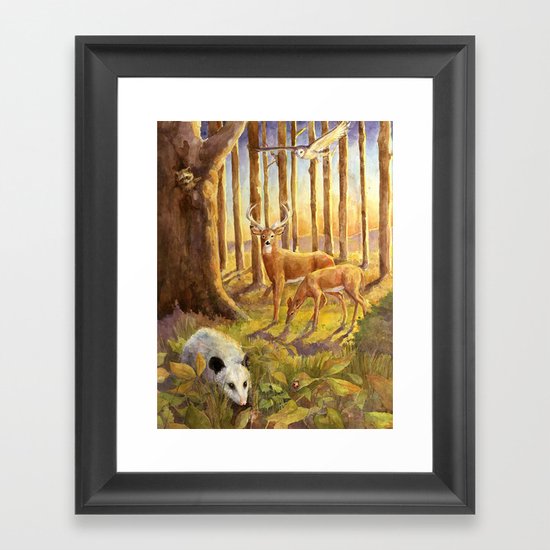 Forest Scene Framed Art Print