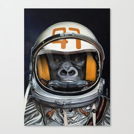 Space Ape Canvas Print