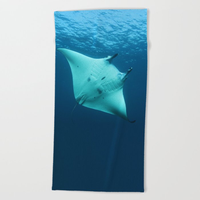 Beautiful manta ray's underbelly Beach Towel