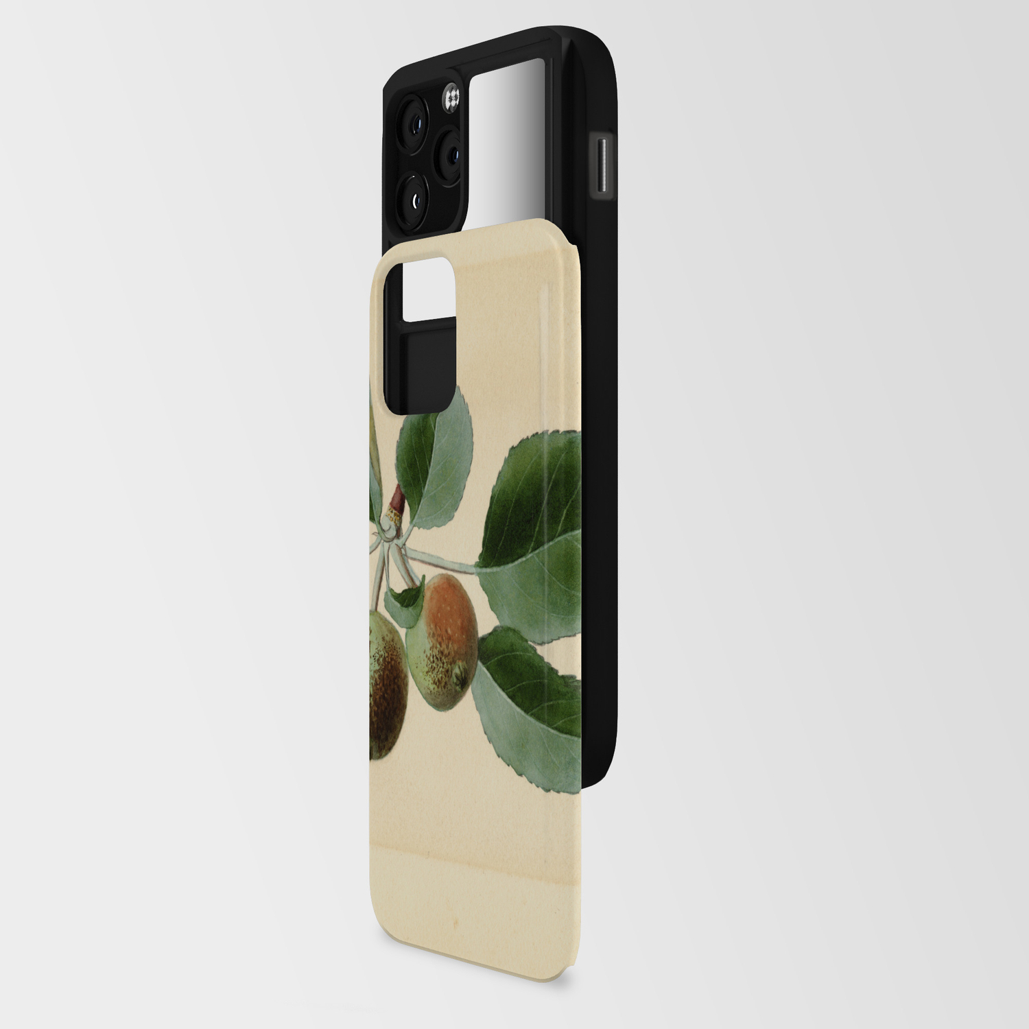 Ben Davis Apple Vintage Art Print Iphone Card Case By Public Domain Gallery Society6