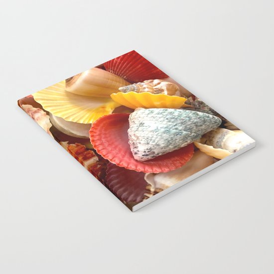 Shells at the Beach Notebook