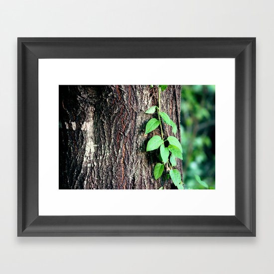 Wrinkles in Nature Framed Art Print