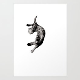 Flying cat 2 Art Print