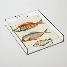 Louis Renard Acrylic Tray