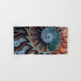 Spiral Ammonite Fossil Hand & Bath Towel