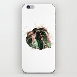 Asteroid cactus iPhone Skin
