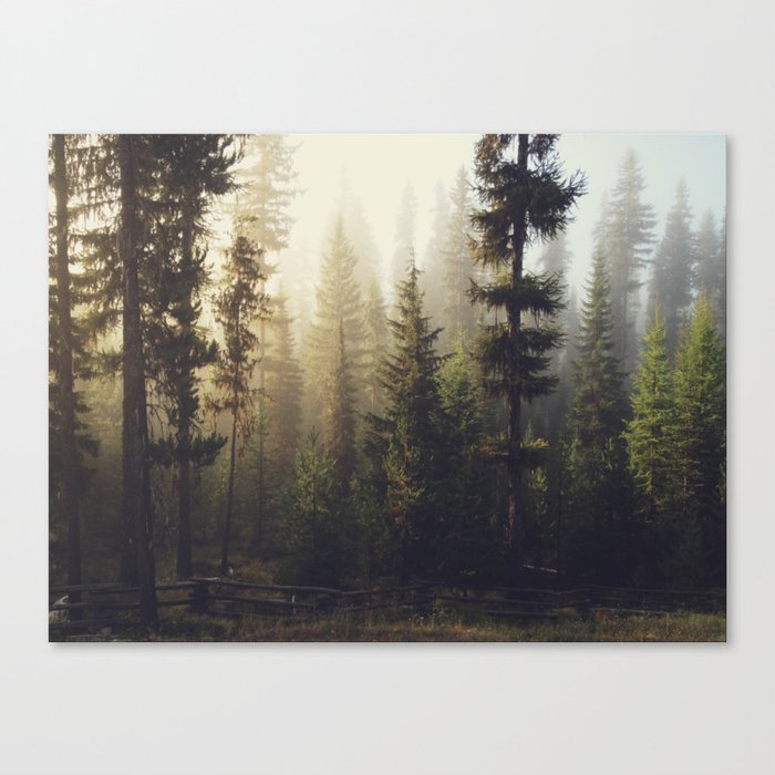 Sunrise Forest Canvas Print