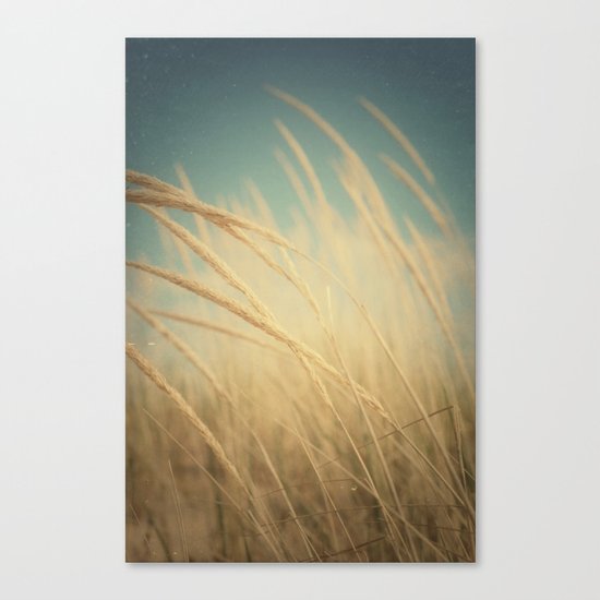 Somewhere Only We Know Canvas Print