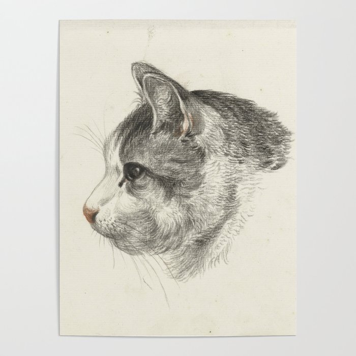 Vintage Cat Illustration Poster By Fineearthprints Society6 Vintage Cat Illustration Poster By Fineearthprints Society6