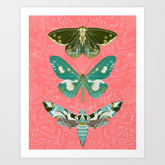 Lepidoptery No. 5 by Andrea Lauren  Art Print