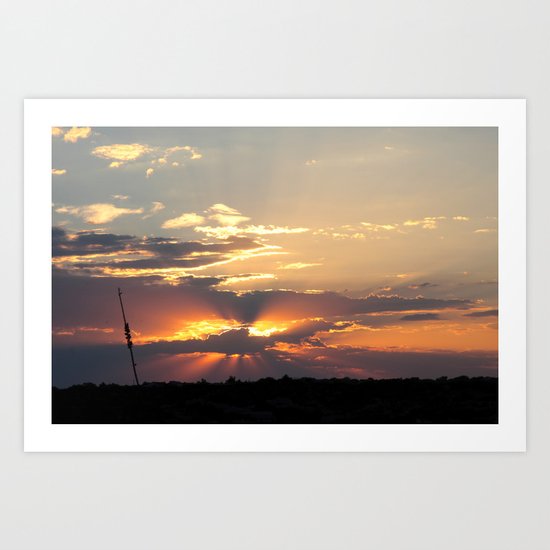 Rays Art Print