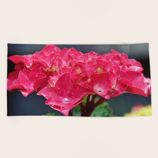 Pink Hydrangea Beach Towel