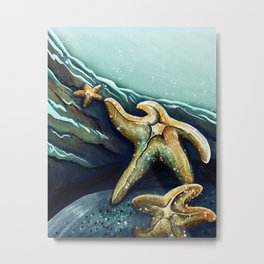 Coastal Starfish Metal Print | Blue, Rocks, Coastal, Starfish, Starfishes, Linda Sholberg, Green, Marine Life, Ocean, Crustacean 