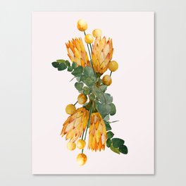 Protea and Billy Flowers Canvas Print
