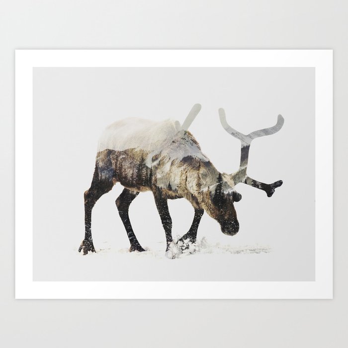 Arctic Reindeer Art Print