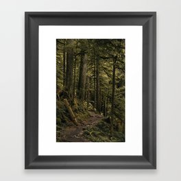 Mossy Woods Framed Art Print