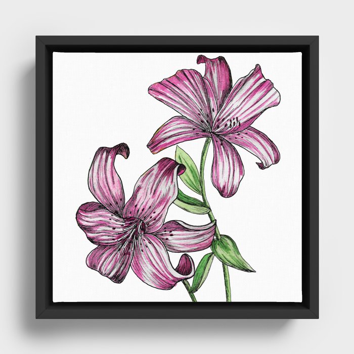 Watercolor Lily Framed Canvas