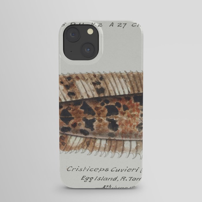 Antique fish possibly cristiceps australis weedfish drawn by Fe. Clarke (1849-1899). iPhone Case